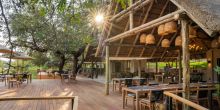 Thornybush Game Lodge