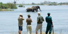 Mkulumadzi Lodge Safari (Robin Pope)