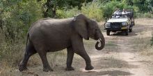 Mkulumadzi Lodge, Majete National Park, Malawi