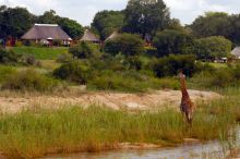 Mala Mala Main Camp, Sabi Sand Game Reserve, South Africa