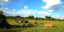 Mala Mala Rattrays Camp, Sabi Sands Game Reserve, South Africa