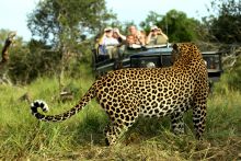 Mala Mala Sable Camp, Sabi Sand Game Reserve, South Africa