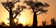 Mandrare River Camp, For Dauphin, Madagascar