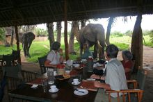 Having lunch with an elephant at Lake Manze Tented Camp, Selous National Park, Tanzania