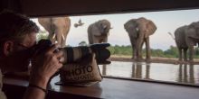 Mashatu Lodge, Mashatu Game Reserve, Botswana