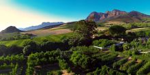 Babylonstoren, Franschhoek, South Africa