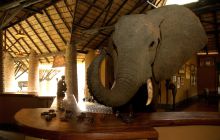 Mfuwe Lodge, South Luangwa National Park, Zambia