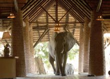 Mfuwe Lodge, South Luangwa National Park, Zambia