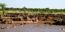 Lemala Ndutu Safari Camp, Serengeti National Park, Tanzania