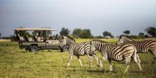 Mombo Camp, Moremi Game Reserve, Botswana