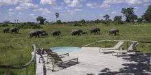 Pool at Little Mombo, Moremi Camp Reserve, Botswana (Dana Allen)