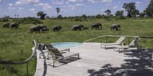 Pool at Little Mombo, Moremi Camp Reserve, Botswana (Mike Myers)