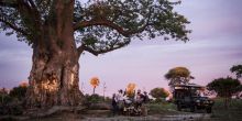 Mombo Camp, Moremi Game Reserve, Botswana