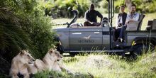 Mombo Camp, Moremi Game Reserve, Botswana