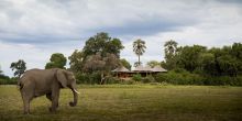 Mombo Camp, Moremi Game Reserve, Botswana