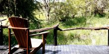 Motswari Game Lodge - wild views from the ldoge