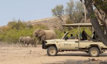 Game drive spotting a pair of elephants at Mowani Mountain Camp, Damaraland, Namibia