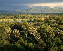 Mvuu Camp, Liwonde National Park, Malawi Â© Dana Allen