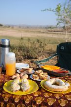 Mwagusi Camp, Ruaha National Park, Tanzania