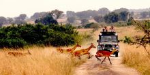 Mweya Safari Lodge, Queen Elizabeth National Park, Uganda