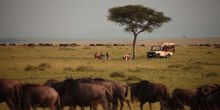 Bush Breakfast on the plains at Naibor Camp, Masai Mara National Reserve, Kenya