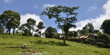 Mbahe Village Farm Cottages, Marangu, Tanzania