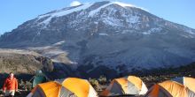 Nature discovery tents