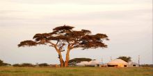 Nduara Loliondo Camp, Serengeti National Park, Tanzania