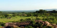 Nduara Loliondo Camp, Serengeti National Park, Tanzania