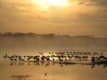 Ndutu Safari Lodge, Serengeti National Park, Tanzania