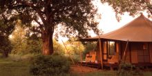 Ngala Tented Camp, Kruger National Park, South Africa Â© AndBeyond