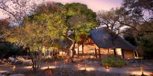 Ngala Safari Lodge