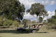 Game drive at Ngare Serian Camp, Masai Mara National Reserve, Kenya