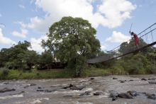 Swinging bridge over the river at Ngare Serian Camp, Masai Mara National Reserve, Kenya