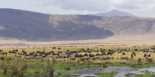 Entamanu Ngorongoro, Ngorongoro Crater, Tanzania