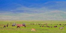 Entamanu Ngorongoro, Ngorongoro Crater, Tanzania