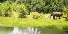 Nkwali Camp, South Luangwa National Park, Zambia