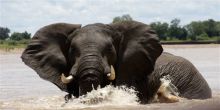 Chongwe River House, Lower Zambezi National Park, Zambia