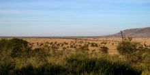 Nyikani Camp Central View