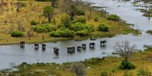 Okavango Explorers Camp 