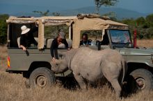 Ol Pejeta Bush Camp, Ol Pejeta Reserve, Kenya