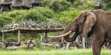 Ol Donyo Lodge, Chyulu Hills, Kenya