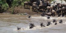 Olakira Tented Camp, Serengeti National Park, Tanzania