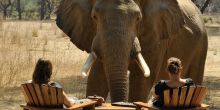 Old Mondoro, Lower Zambezi National Park, Zambia