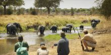 Olivers Camp, Tarangire National Park, Tanzania