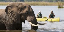 Potato Bush Camp, Lower Zambezi National Park, Zambia