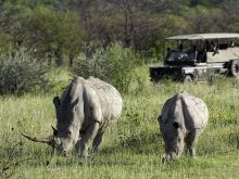 Ongava Lodge, Etosha National Park, Namibia Â© Dana Allen