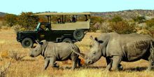 Ongava Lodge, Etosha National Park, Namibia Â© Dana Allen