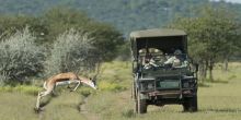 Ongava Tented Camp, Etosha National Park, Namibia