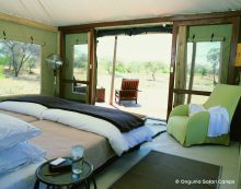 Onguma Tented Camp, Etosha National Park, Namibia